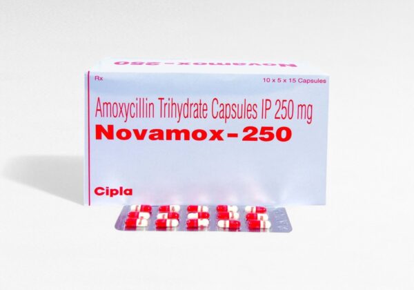 노바목스 250mg