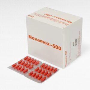 노바목스 500mg