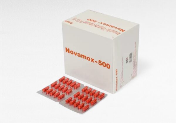 노바목스 500mg