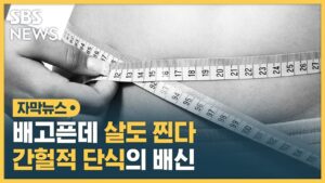 간헐적단식배신
