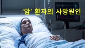 암 유병자 수