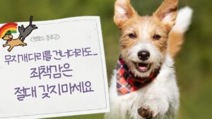 펫로스 증후군